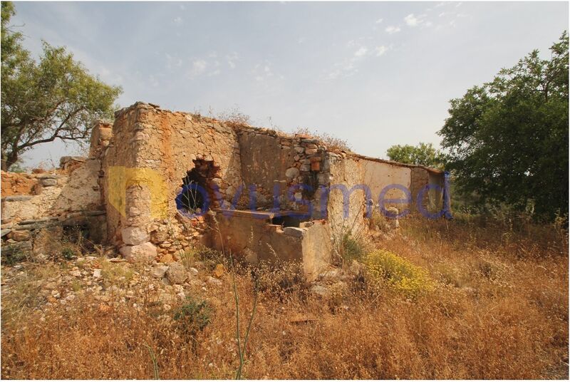 Дача/Поместье Fontainhas Ferreiras Albufeira