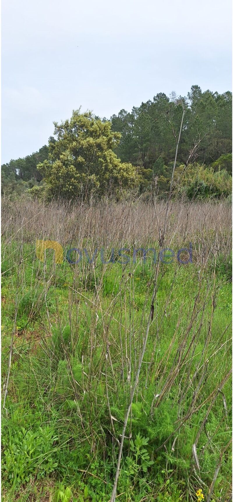 Land Rustic with 3000sqm Benafim Loulé - water
