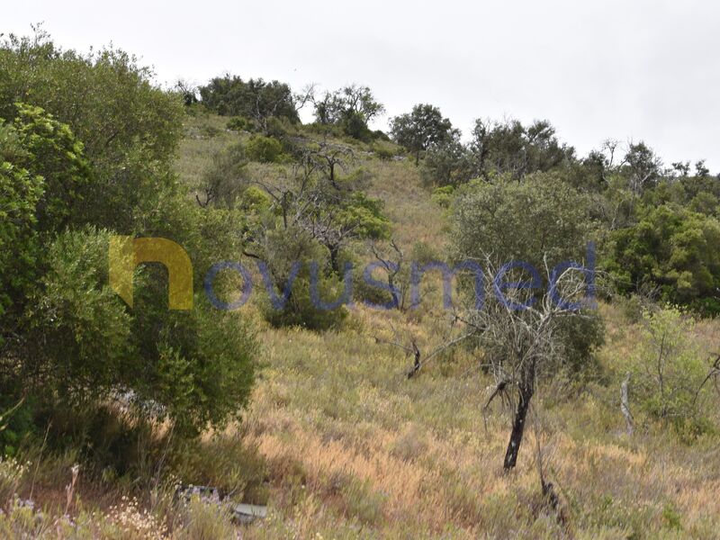 -923374570_IDc3aea101-0000-0500-0000-0000160ab6be.jpg