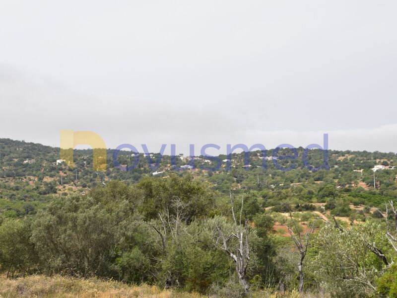 -923374570_IDc3aea101-0000-0500-0000-0000160ab6d9.jpg