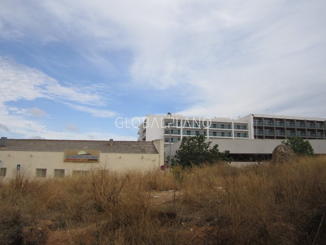 1000008044_025.jpg