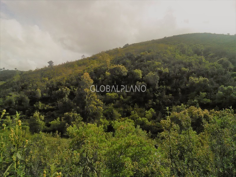 Land Urban/agricultural with 40sqm Marmelete Monchique - well, cork oaks