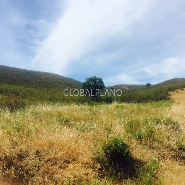 Terreno com 61000m2 Outão Mexilhoeira Grande Portimão - água, árvores de fruto