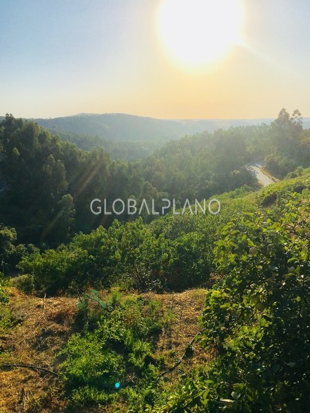 Land with 5520sqm Ameixeira da Fóia Monchique - construction viability, fruit trees, arable crop