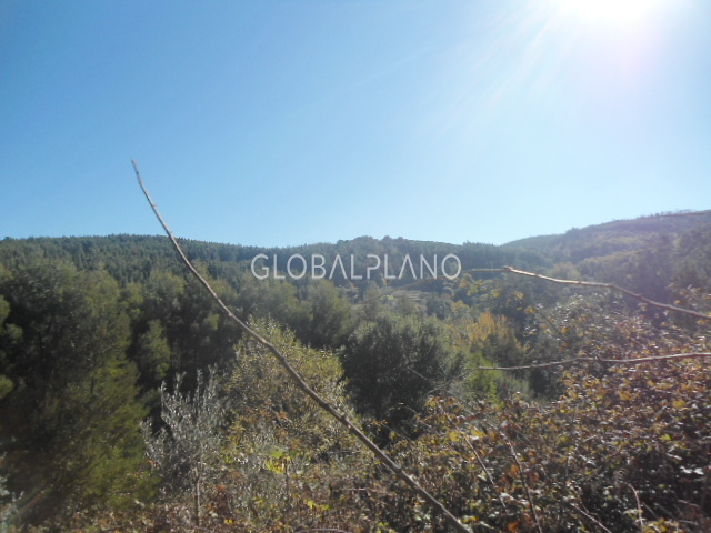 Farm V5 Barranco dos Pisões Monchique - water, good access