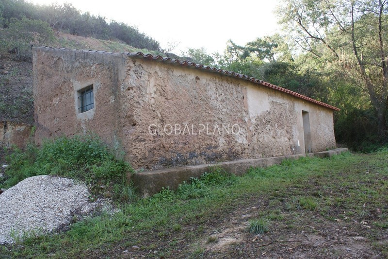 Land Rustic with 180000sqm Barranco das Canas Monchique - fruit trees, arable crop, cork oaks