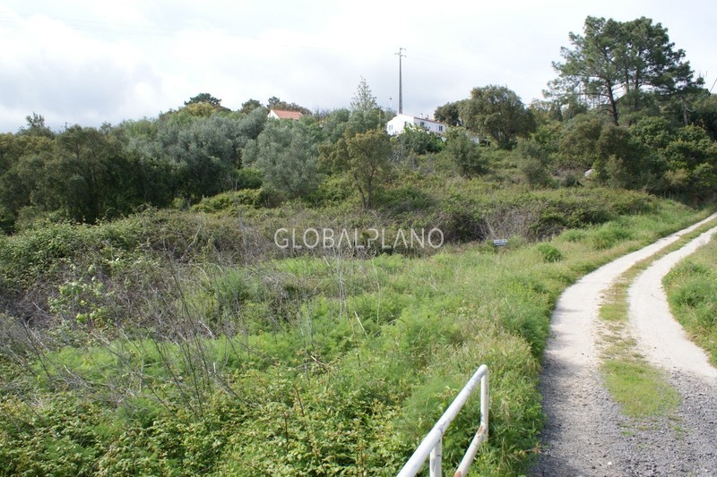 Land Rustic with 4320sqm Gil Bordalo Monchique - arable crop, irrigated land