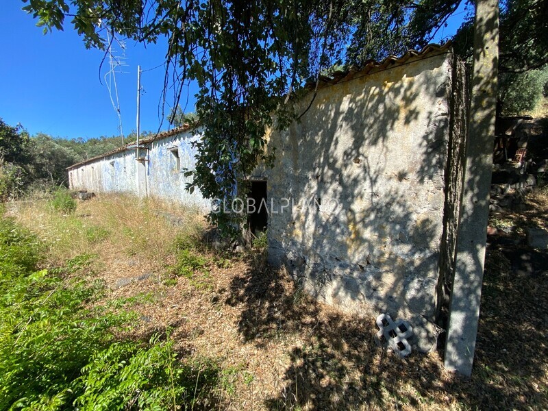 Land with 4000sqm Monchique - arable crop, fruit trees