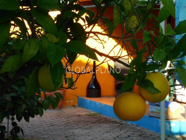 1000013727_villa-for-sale-in-montes-de-alvor-big-garden-fruit-trees-swimming-pool.jpg