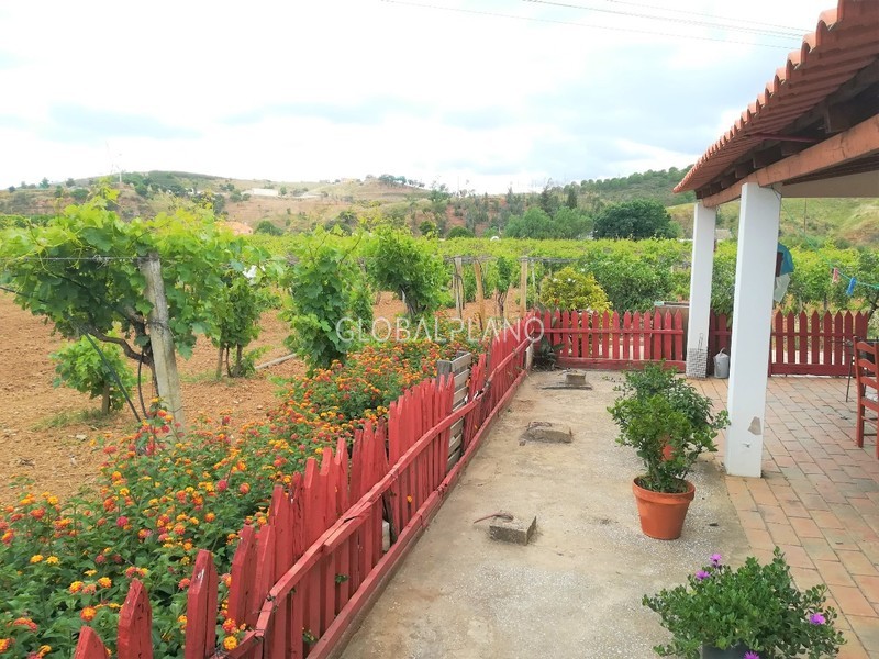 Farm V4 Rasmalho Portimão - well, fireplace, arable crop, swimming pool, garden, water hole