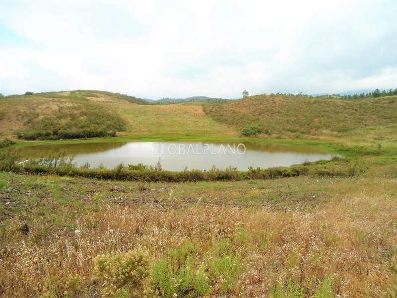 Farm V2 Sitio da Pereira Mexilhoeira Grande Portimão - water hole, well, arable crop, water hole, water