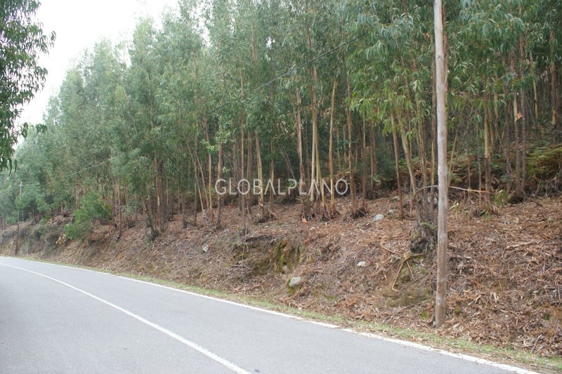 Land with 6680sqm Almarjinhos Marmelete Monchique