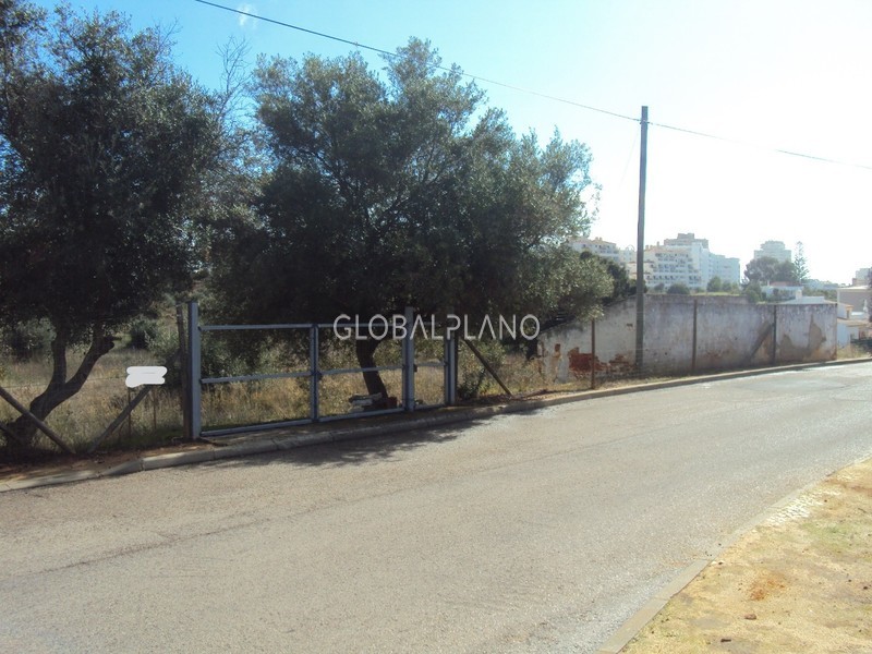 Land Urban with 200sqm Vale de França Portimão - olive trees