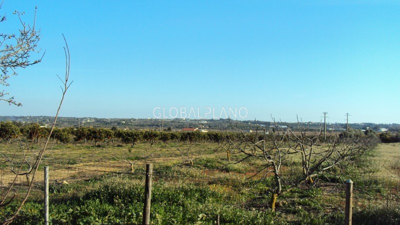 Farm V2+1 Sitio das Lameiras/Lagoa Lagoa (Algarve) - fruit trees, barbecue, equipped