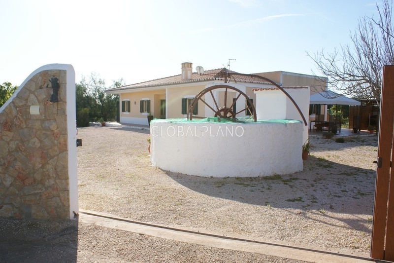 Farm V3 Porches/Lagoa Lagoa (Algarve) - fruit trees, terrace, well, swimming pool