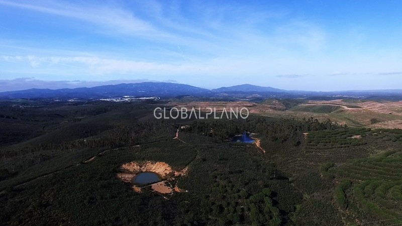 Plot with 50000sqm Almarjões Mexilhoeira Grande Portimão