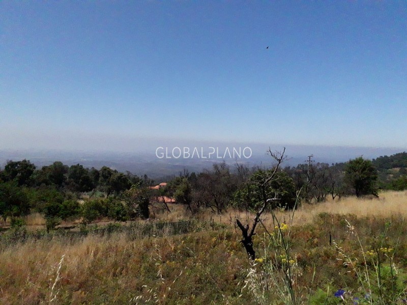 Terreno Rústico com 5880m2 Saramagal/ Monchique - cultura arvense, árvores de fruto, oliveiras, água
