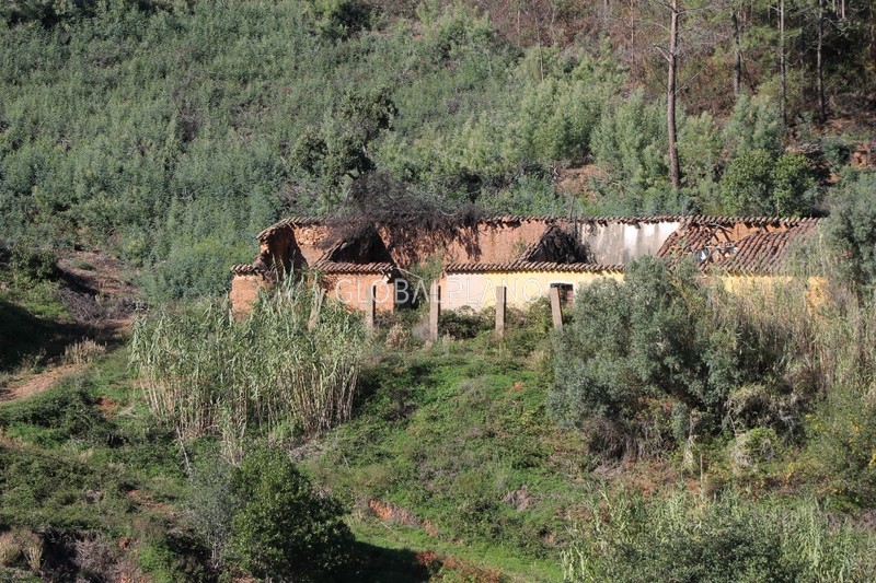 Quinta V2 Monchique - cultura arvense, água