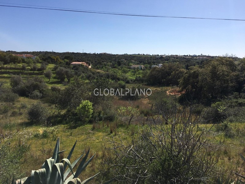 Land Rustic with 1475sqm Seixosas Ferragudo Lagoa (Algarve) - olive trees, arable crop