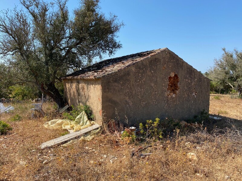 Terreno com 20560m2 Mexilhoeira Grande Portimão - oliveiras, água da rede