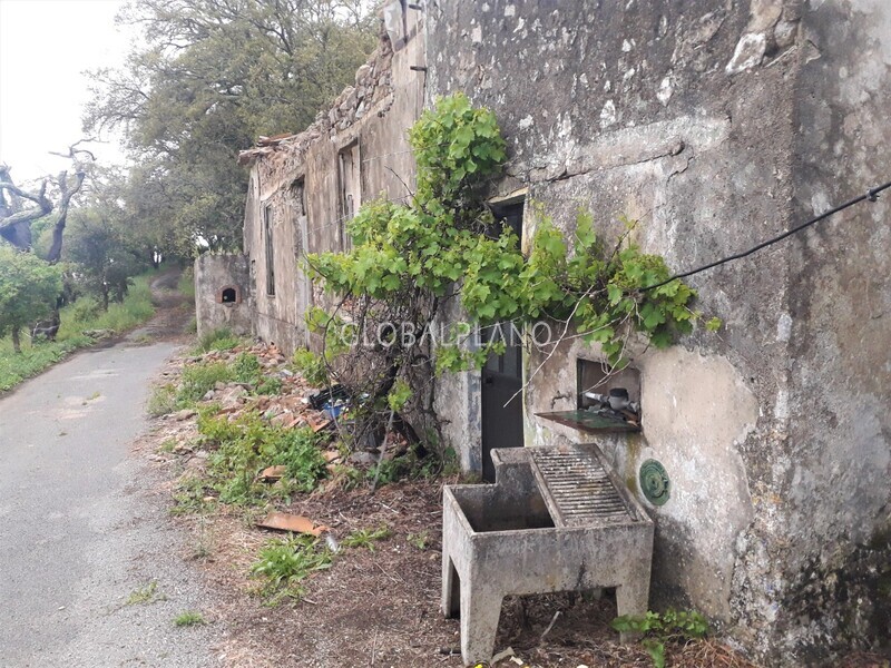Ruine V4 Barreira Marmelete Monchique