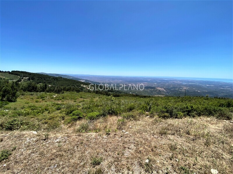 Land with 9688sqm Foia Monchique - construction viability, water, great view, easy access