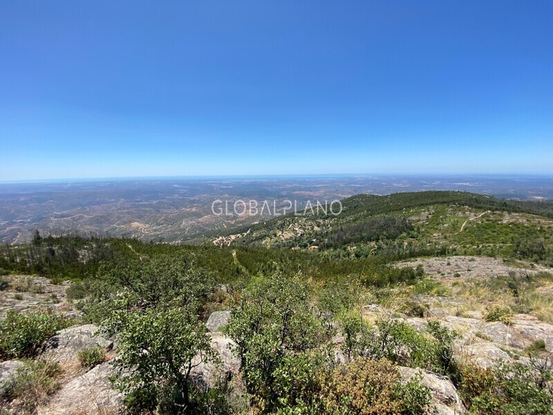 Terreno com 1153600m2 Picota Monchique - água, viabilidade de construção, bons acessos, excelente vista