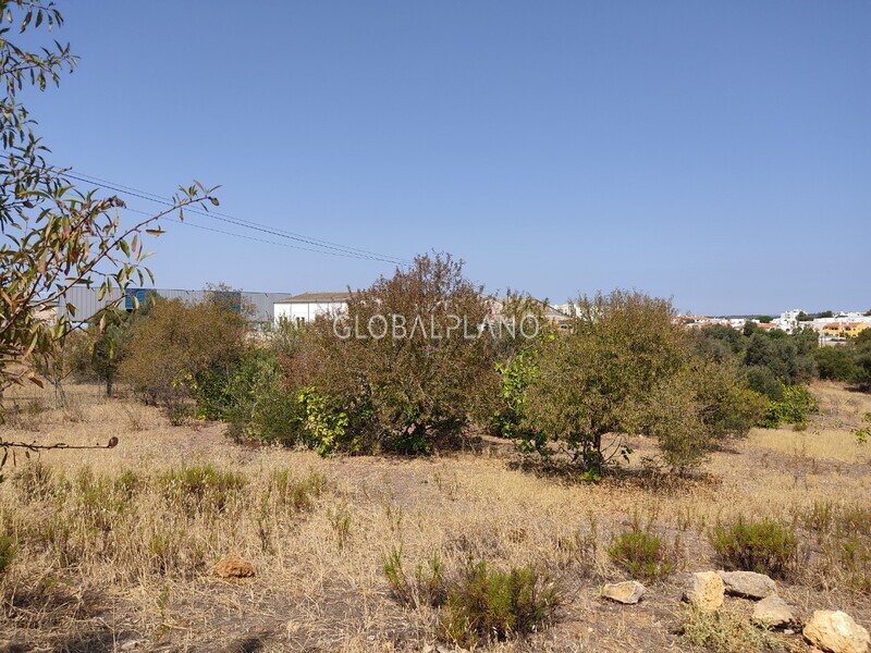 Plot with 8420sqm Parchal/ Lagoa Lagoa (Algarve) - construction viability