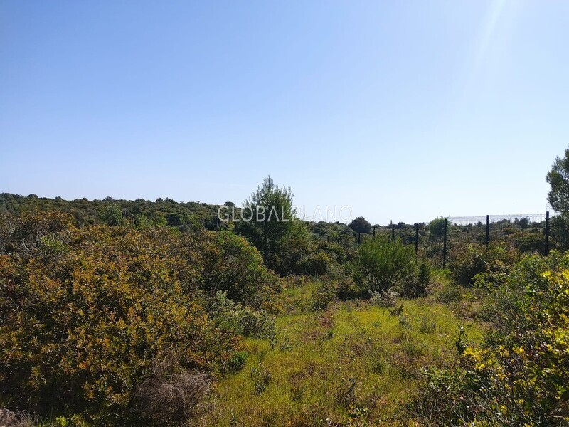 Terreno Rústico com 6020m2 Odiáxere Lagos - bons acessos