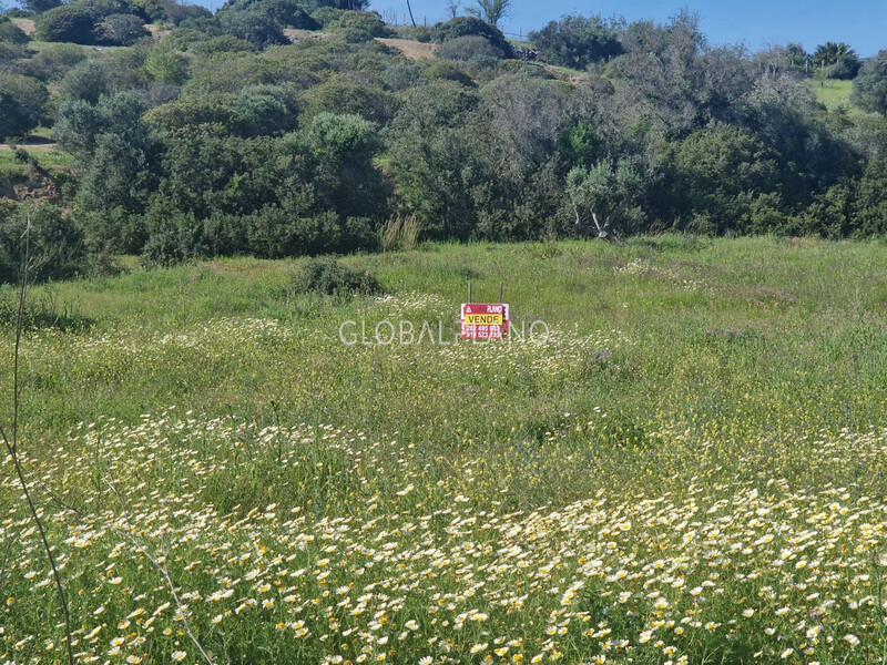 Plot with 7851sqm Coca Maravilhas Portimão