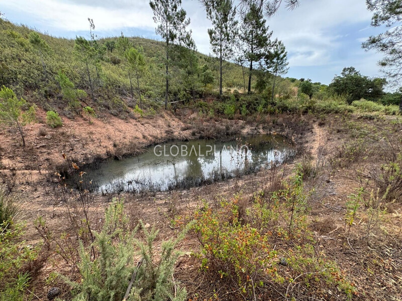 Land Rustic with 23970sqm Mexilhoeira Grande Portimão - water, cork oaks, mains water, electricity