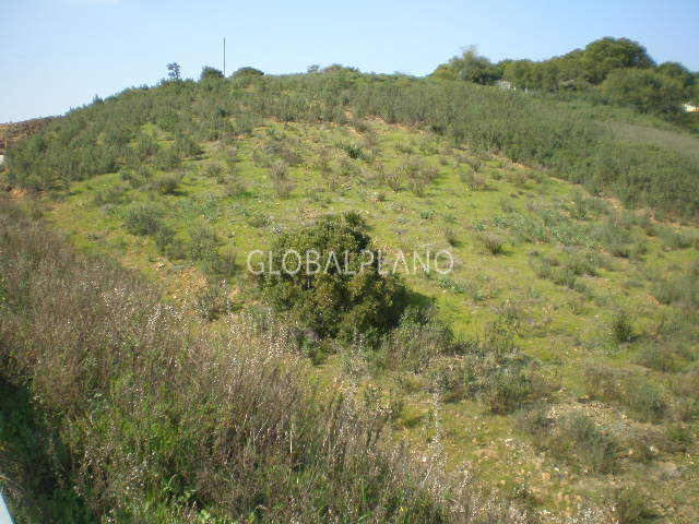 Terreno Rústico com 4950m2 Senhora do Verde Mexilhoeira Grande Portimão - bons acessos, luz