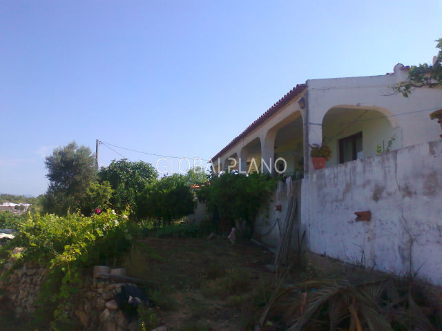 Quinta V3 Estombar Estômbar Lagoa (Algarve) - árvores de fruto, bons acessos