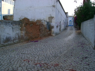 Terreno com 458m2 Montes de Alvor Portimão - água, luz