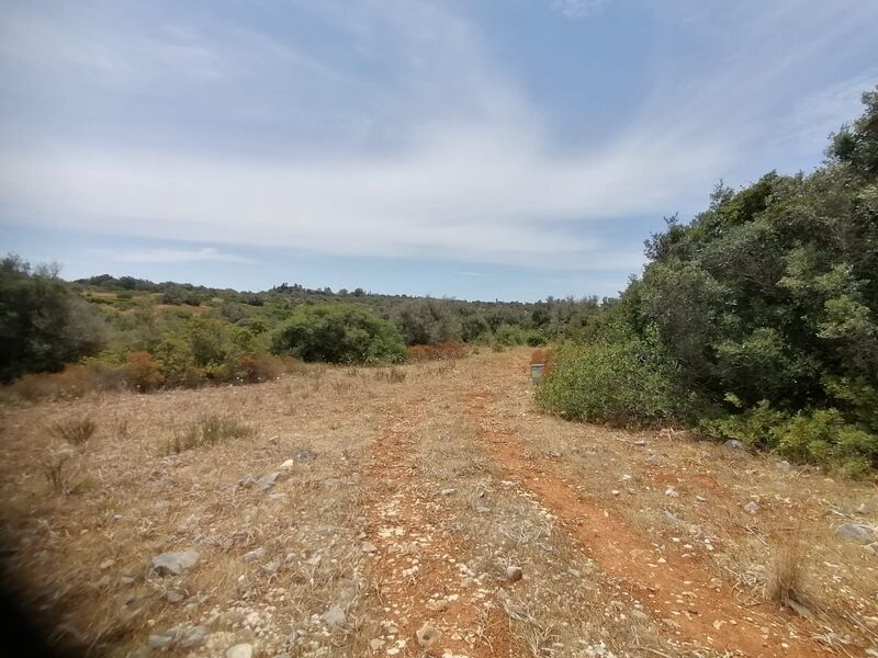 Land Agricultural with 30600sqm Mexilhoeira Grande Portimão - water, olive trees, electricity