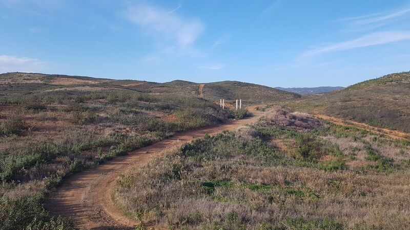 Terreno Agrícola com 8250m2 Fonte Salgada Tavira - electricidade, furo, viabilidade de construção