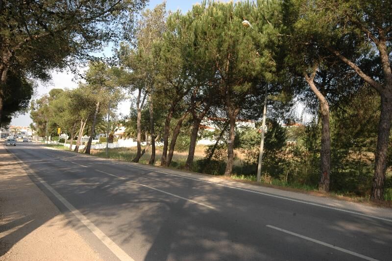 Land with 6560sqm Quarteira Loulé