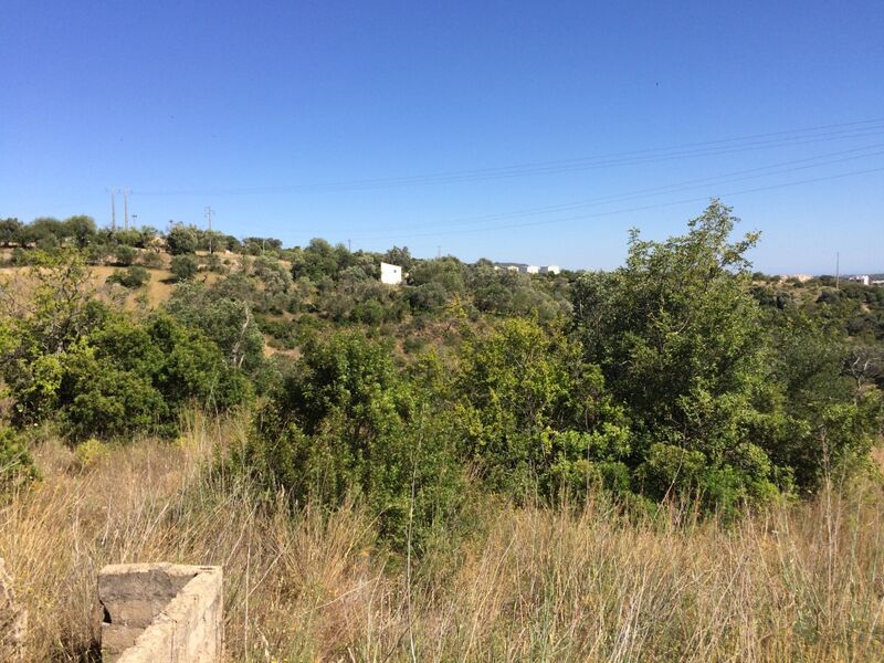 Plot of land with ruin Loulé São Sebastião - fruit trees, easy access, water, electricity