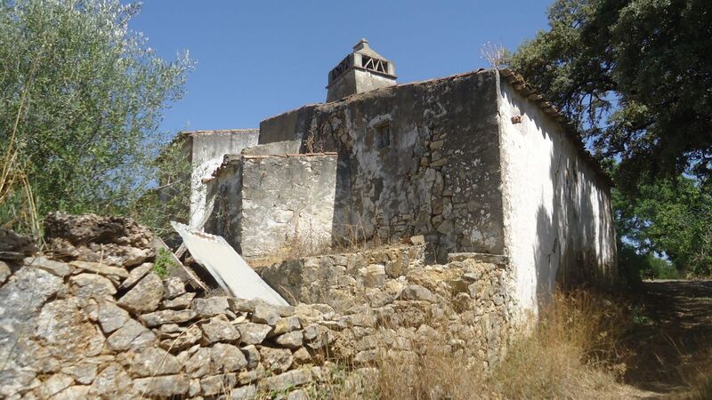 Land Rustic with 3988sqm São Brás São Brás de Alportel - olive trees, electricity, water