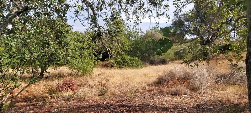 Terreno com 1300m2 Albufeira Olhos de Água - água, electricidade