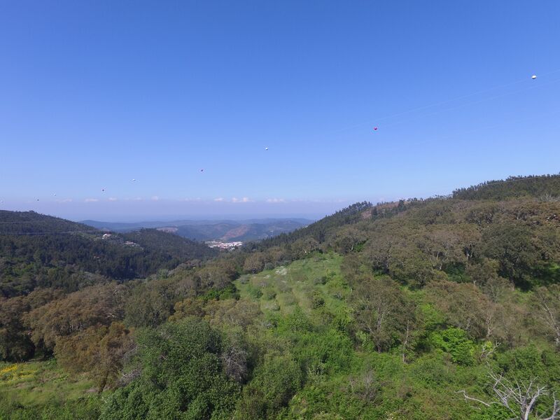 Terreno Rústico com 6120m2 para venda Alferce Monchique - água, electricidade, sobreiros