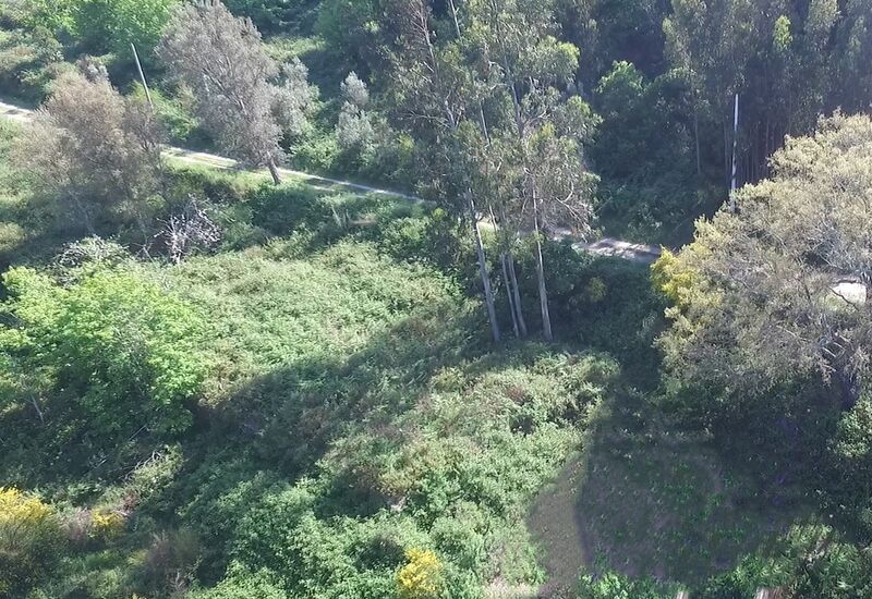 Terreno Rústico com 6120m2 Alferce Monchique - água, electricidade, sobreiros