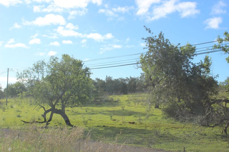 À venda Terreno Agrícola com 218000m2 Tavira