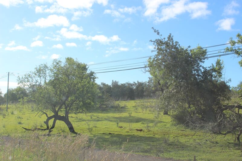 Land Agricultural with 218000sqm Tavira