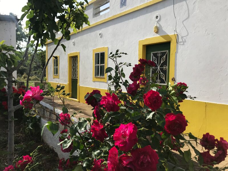 House V2 Renovated Santa Catarina Santa Catarina da Fonte do Bispo Tavira - terrace, store room, green areas, gardens, garden, garage