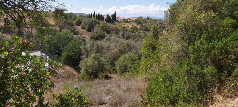 Land with 8160sqm Paderne Albufeira - ,