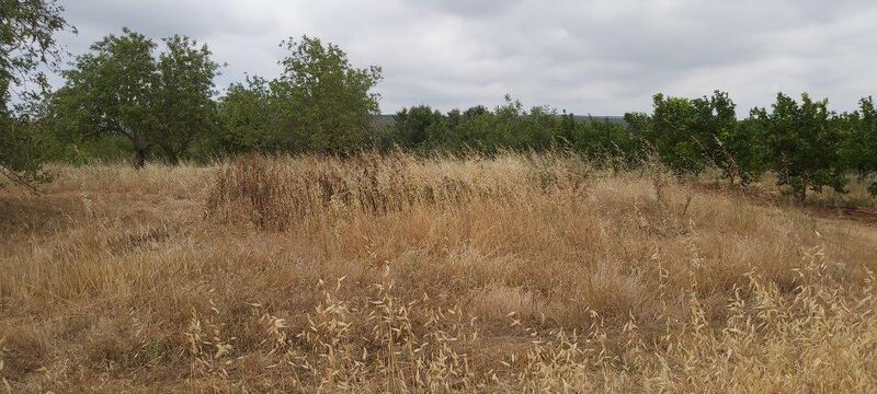 Land Agricultural for construction Paderne Albufeira - electricity, water