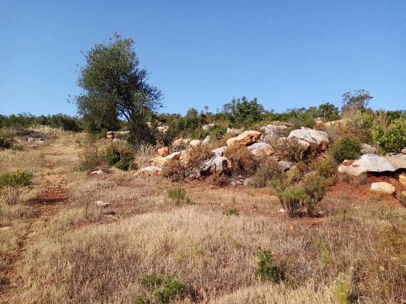 земельный участок c 31434m2 Loulé São Sebastião - колодец, sobreiros, вода, электричество