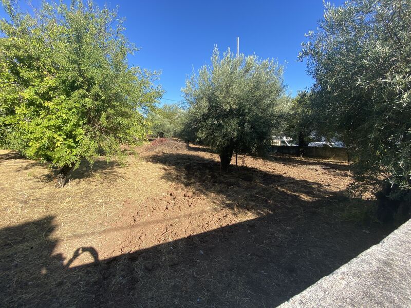 Plot Agricultural with 837sqm Salir Loulé - electricity, water, irrigated land