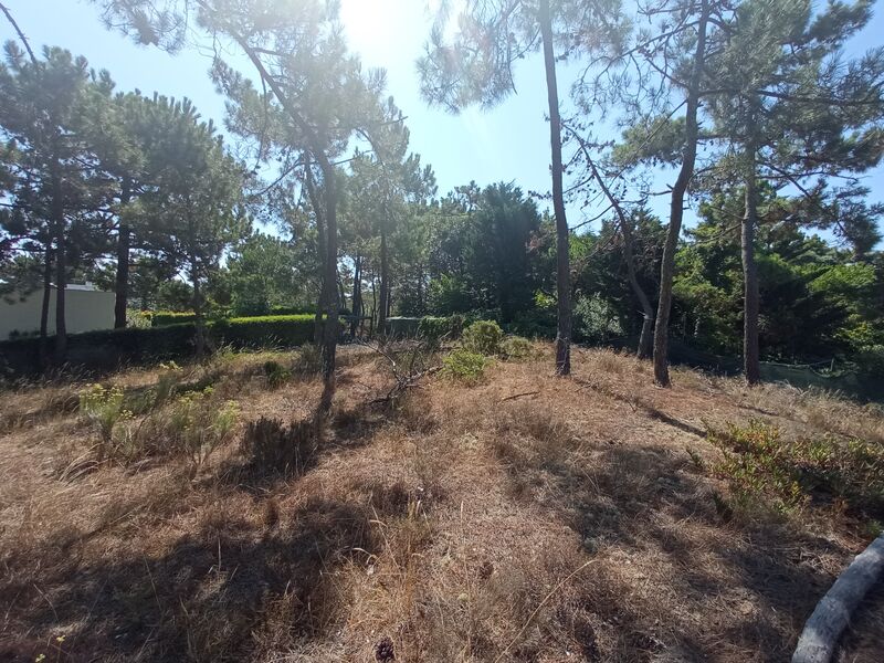 Lote de terreno com 1620m2 Soltroia - Mar Carvalhal Grândola